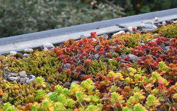 the cost of Eyemouth green roof installation