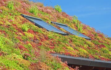 Eyemouth living roof systems